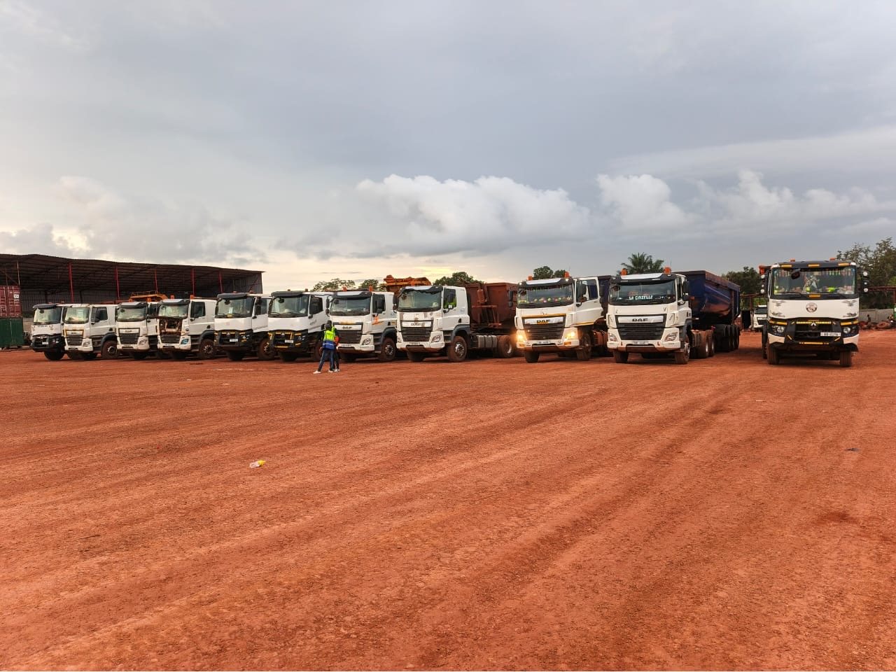 Tracteurs et bennes alignés sur le parc en fin de journée